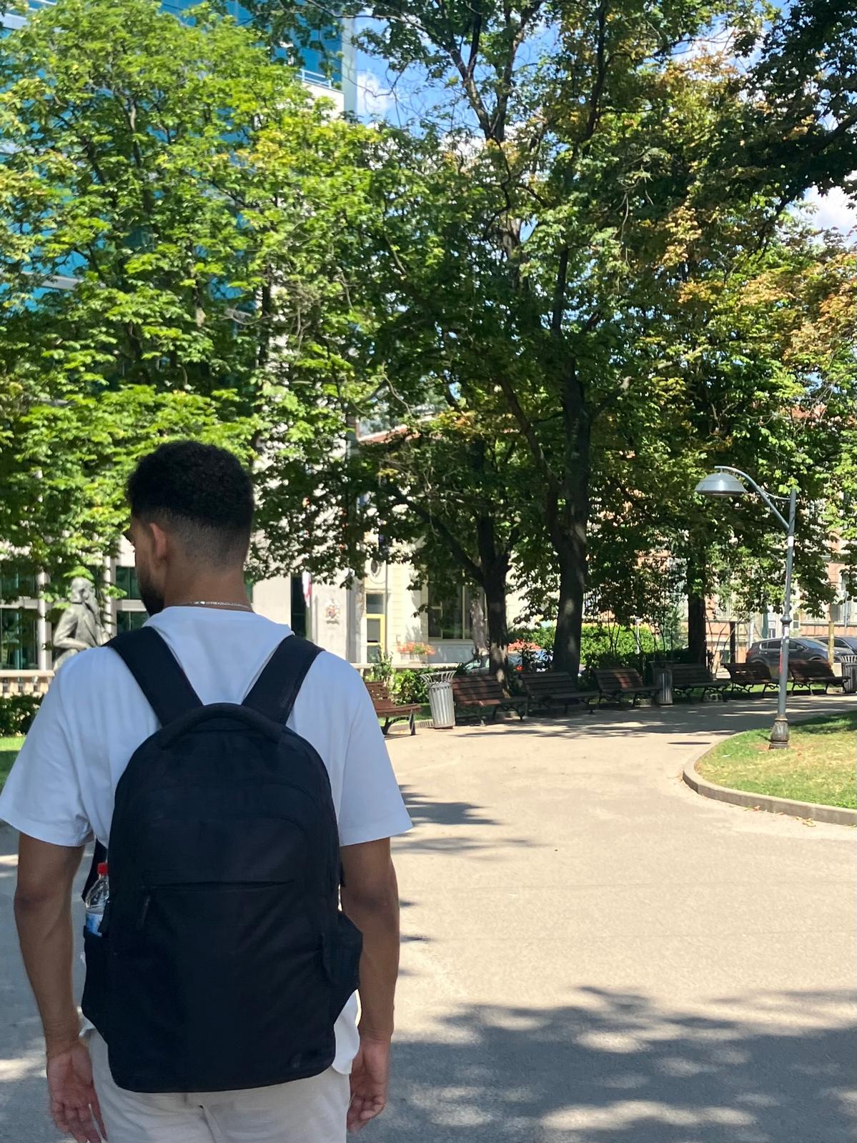 Mock visual butterfly